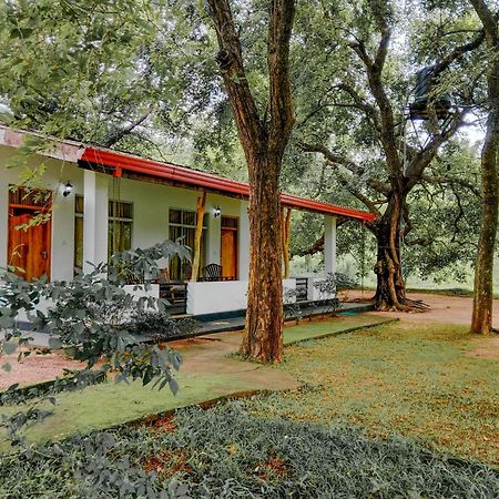 Banana Rest Sigiriya Bed & Breakfast Exterior photo