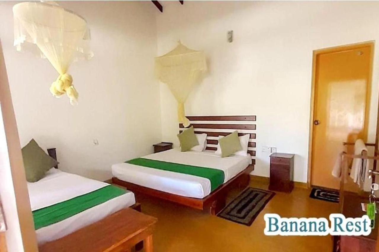 Banana Rest Sigiriya Bed & Breakfast Exterior photo