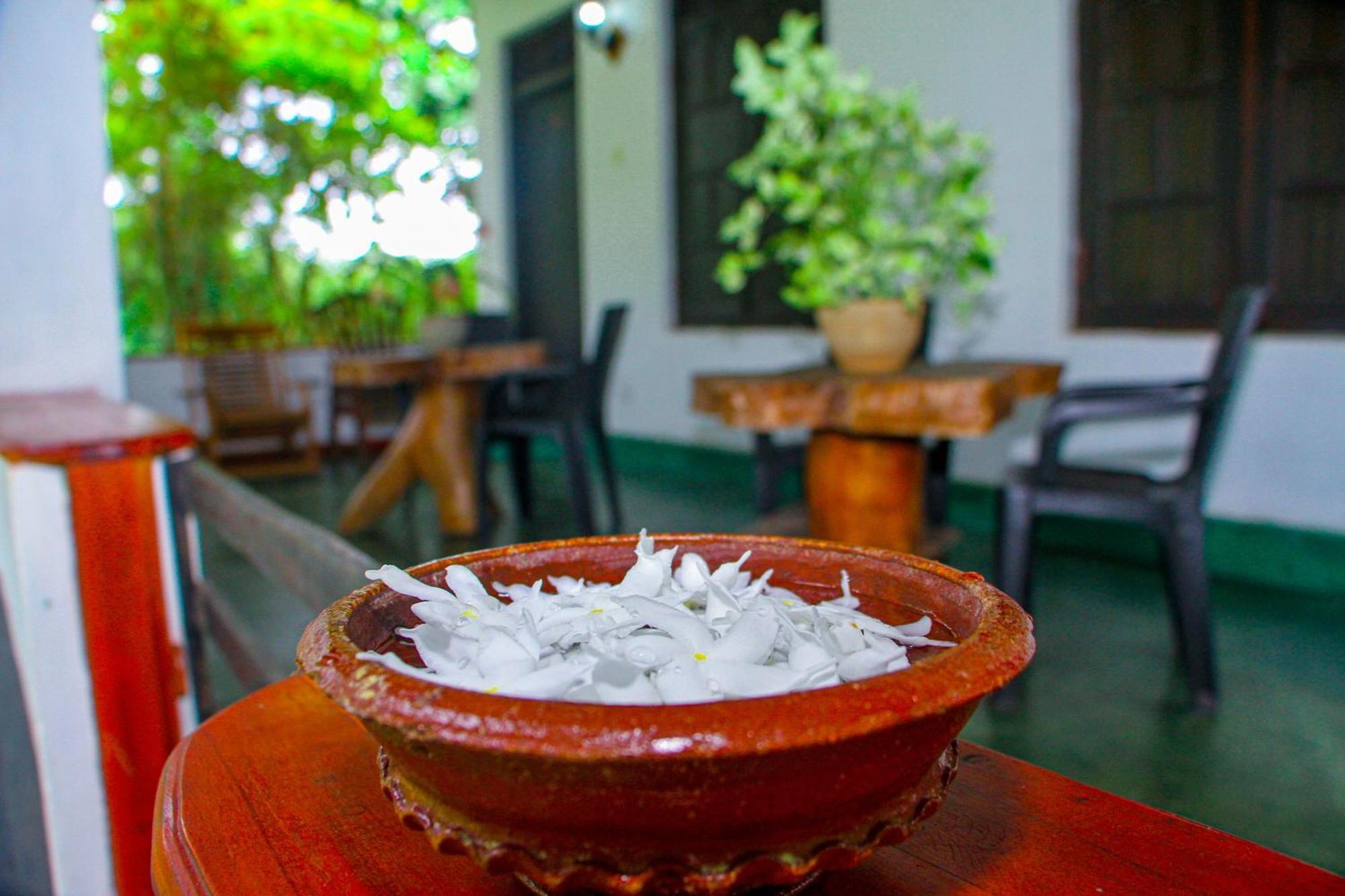 Banana Rest Sigiriya Bed & Breakfast Exterior photo