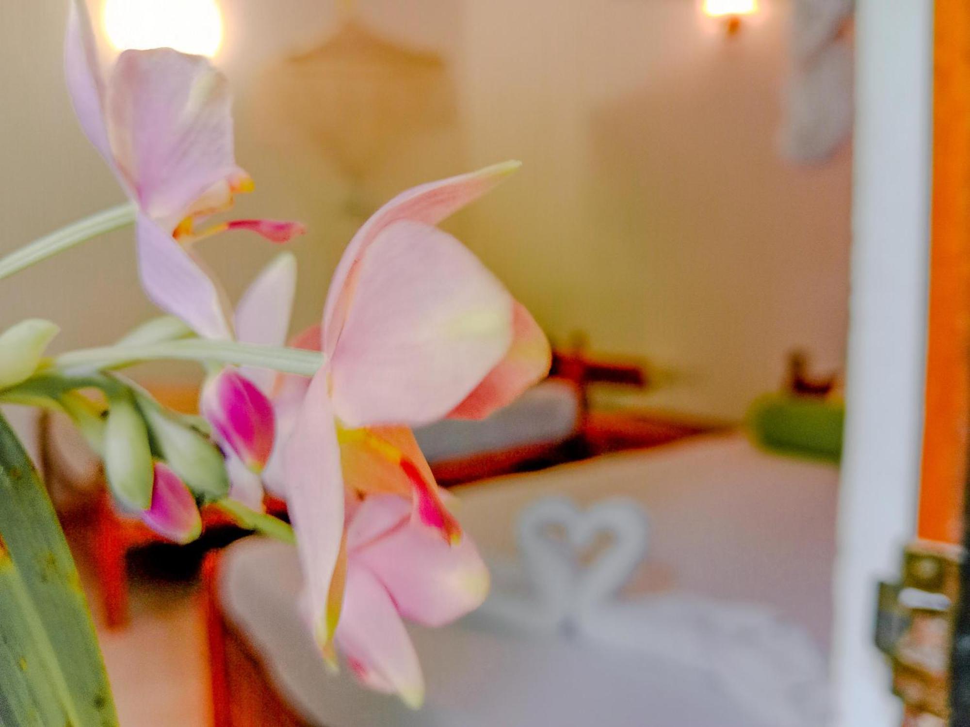 Banana Rest Sigiriya Bed & Breakfast Exterior photo