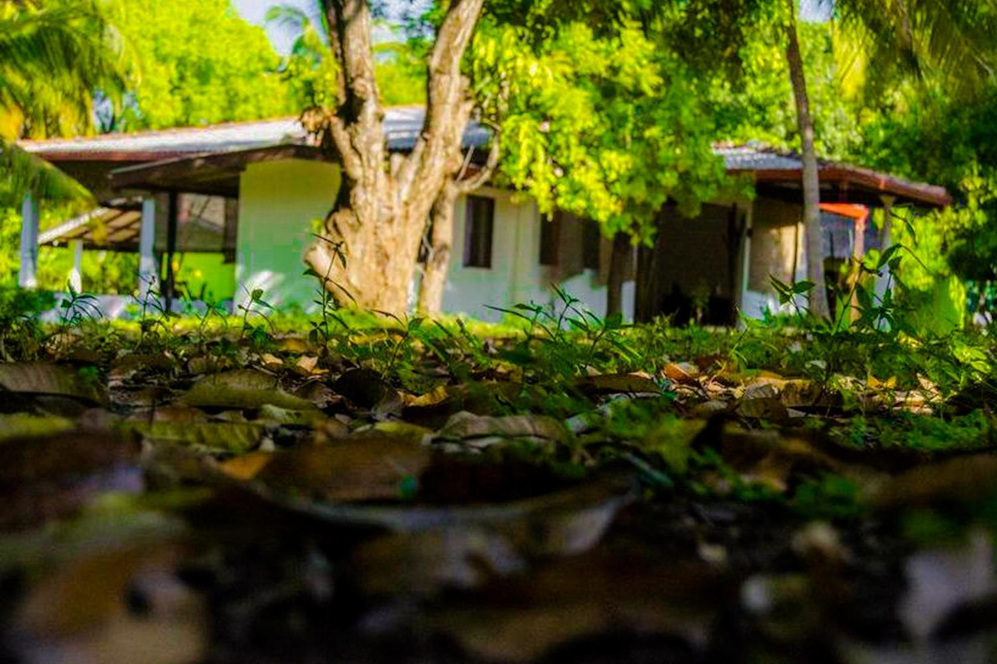 Banana Rest Sigiriya Bed & Breakfast Exterior photo