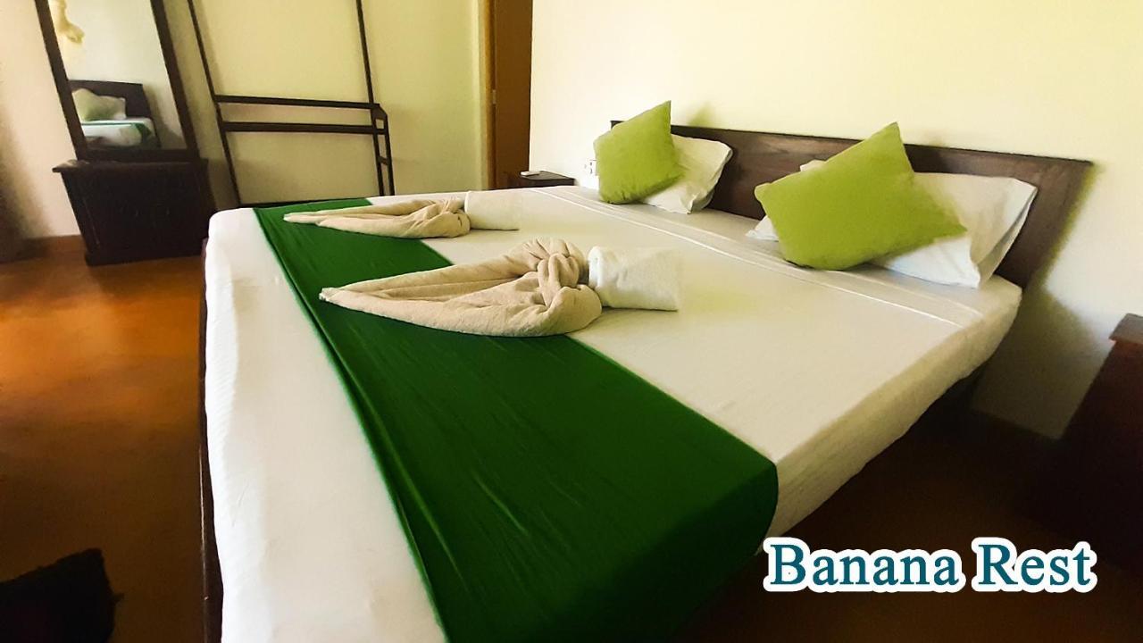 Banana Rest Sigiriya Bed & Breakfast Exterior photo