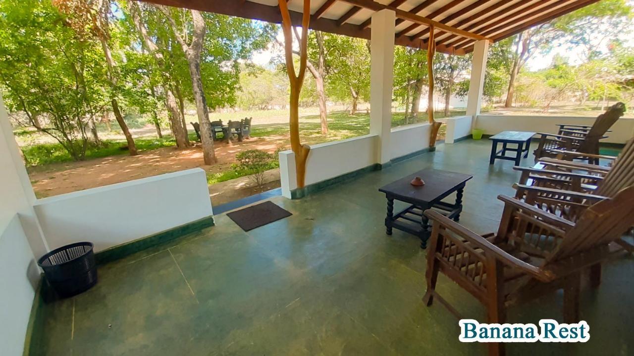 Banana Rest Sigiriya Bed & Breakfast Exterior photo